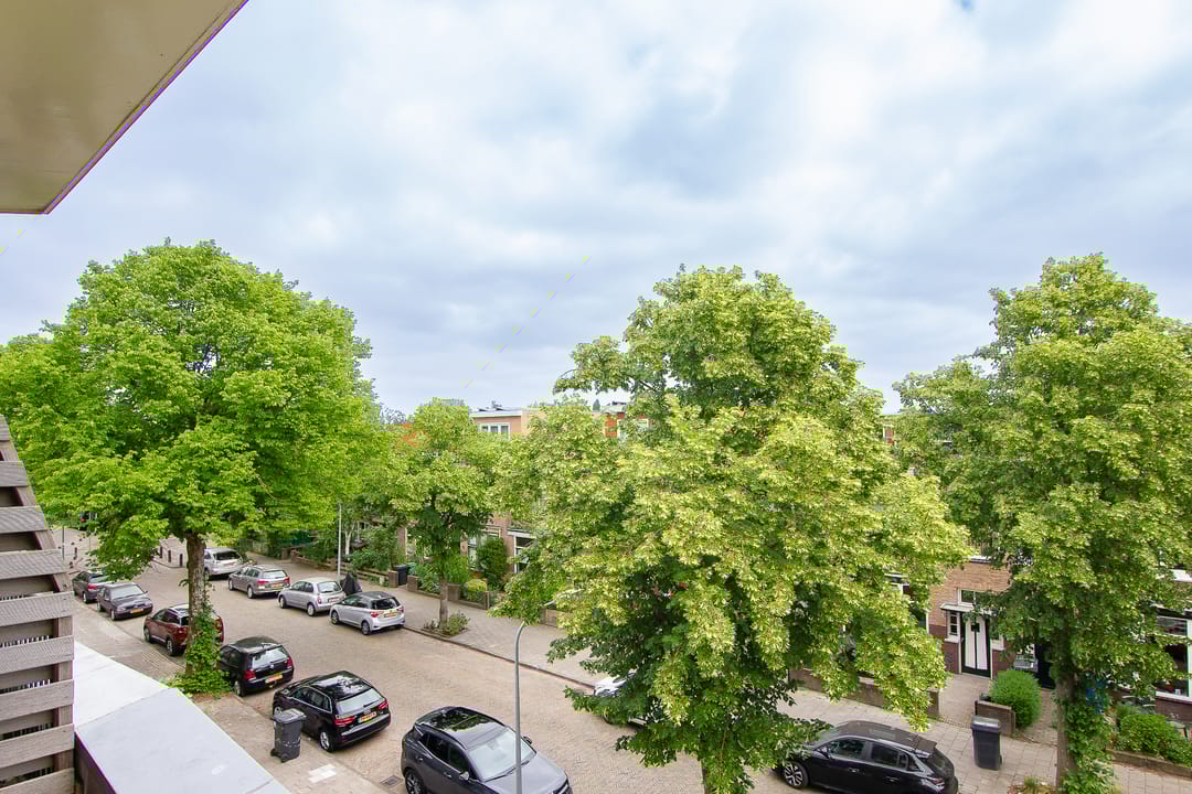 Foto 41 van Timorstraat 49