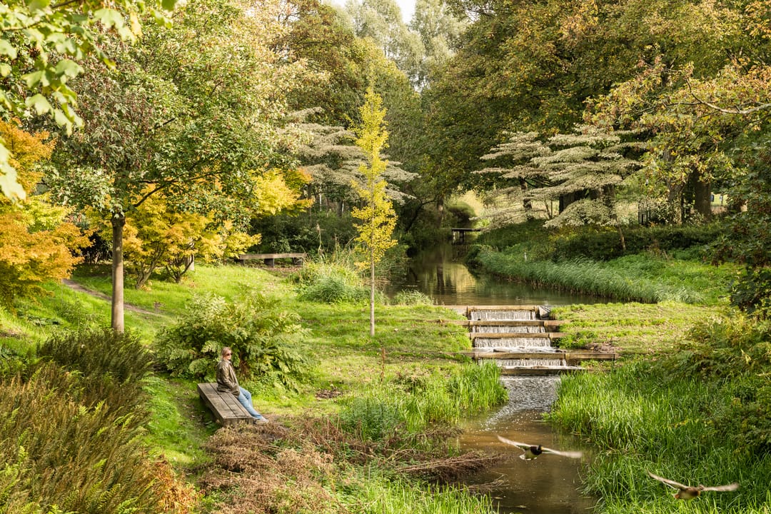 Photo 23 of Admiraal De Ruijterweg 480-3