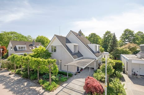 Hoefbladstraat thumbnail