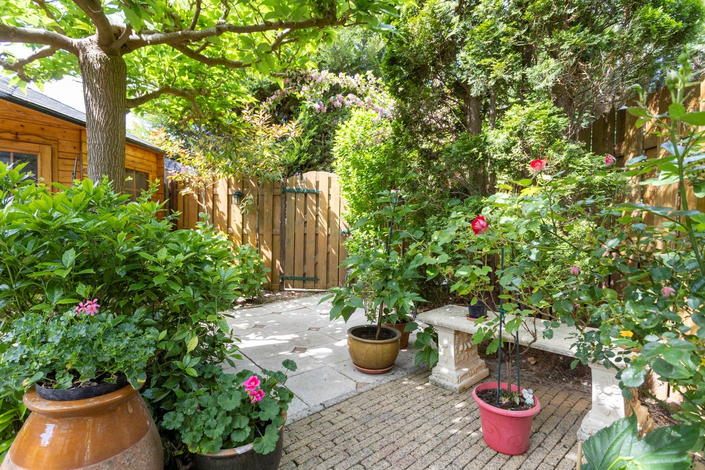 Foto 49 van Agaat 32