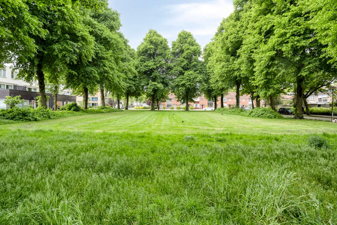 Foto 43 van Nuijenslaan 8