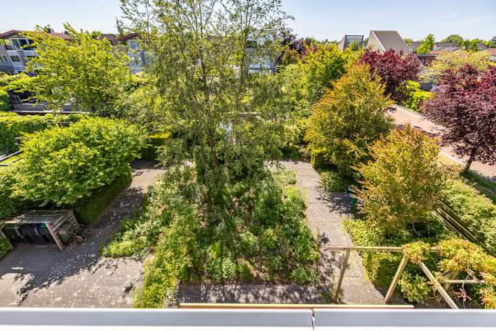 Foto 36 van Elzenslag 1