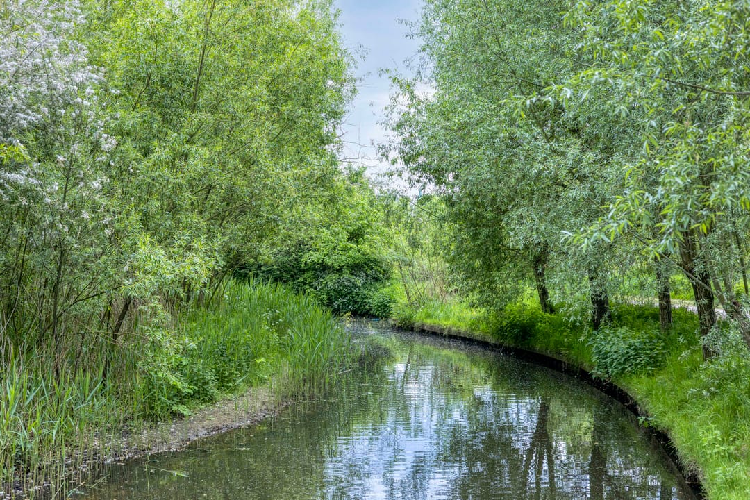 Foto 38 van Ceram 95