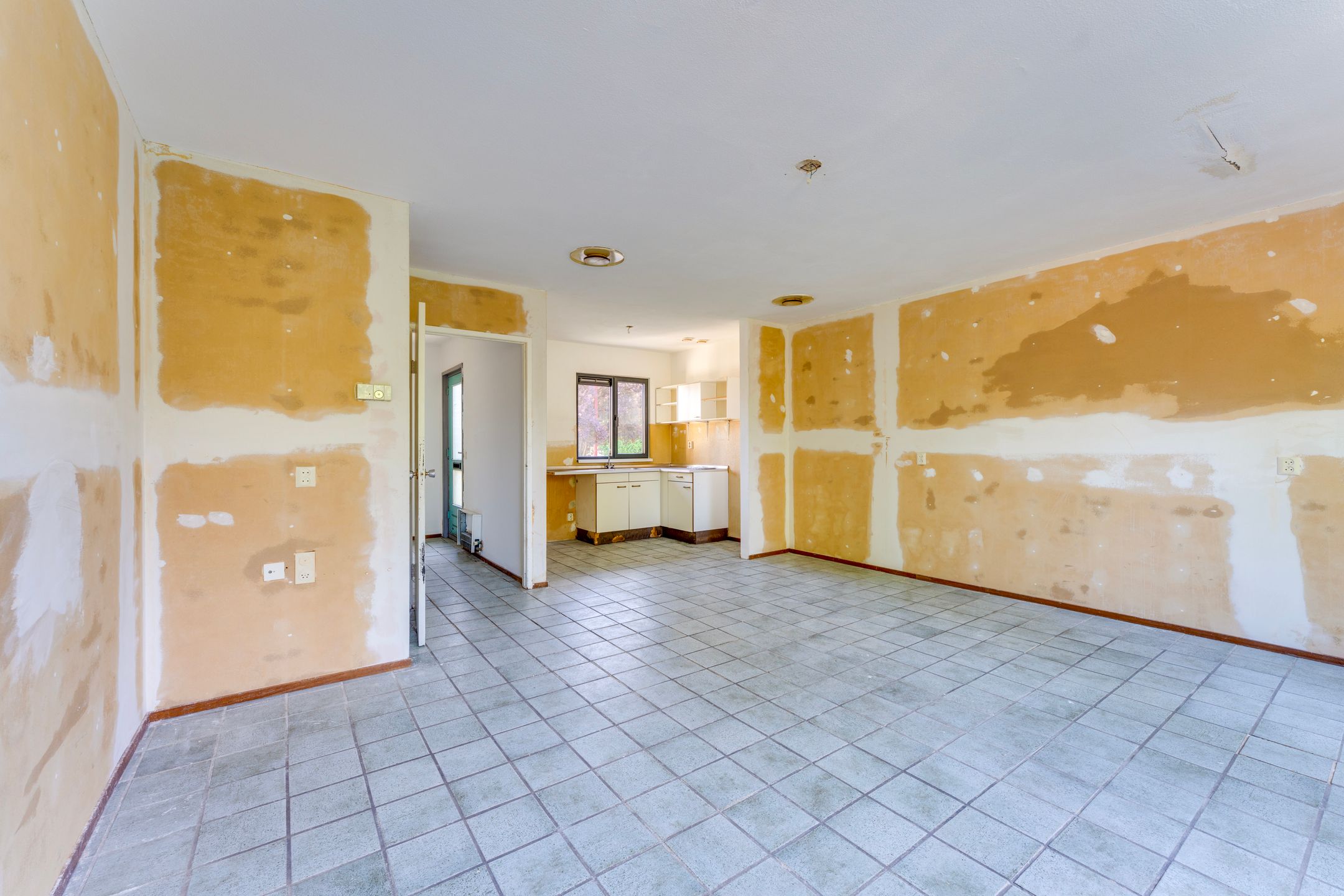 Foto 3 van Boomkruiper 8