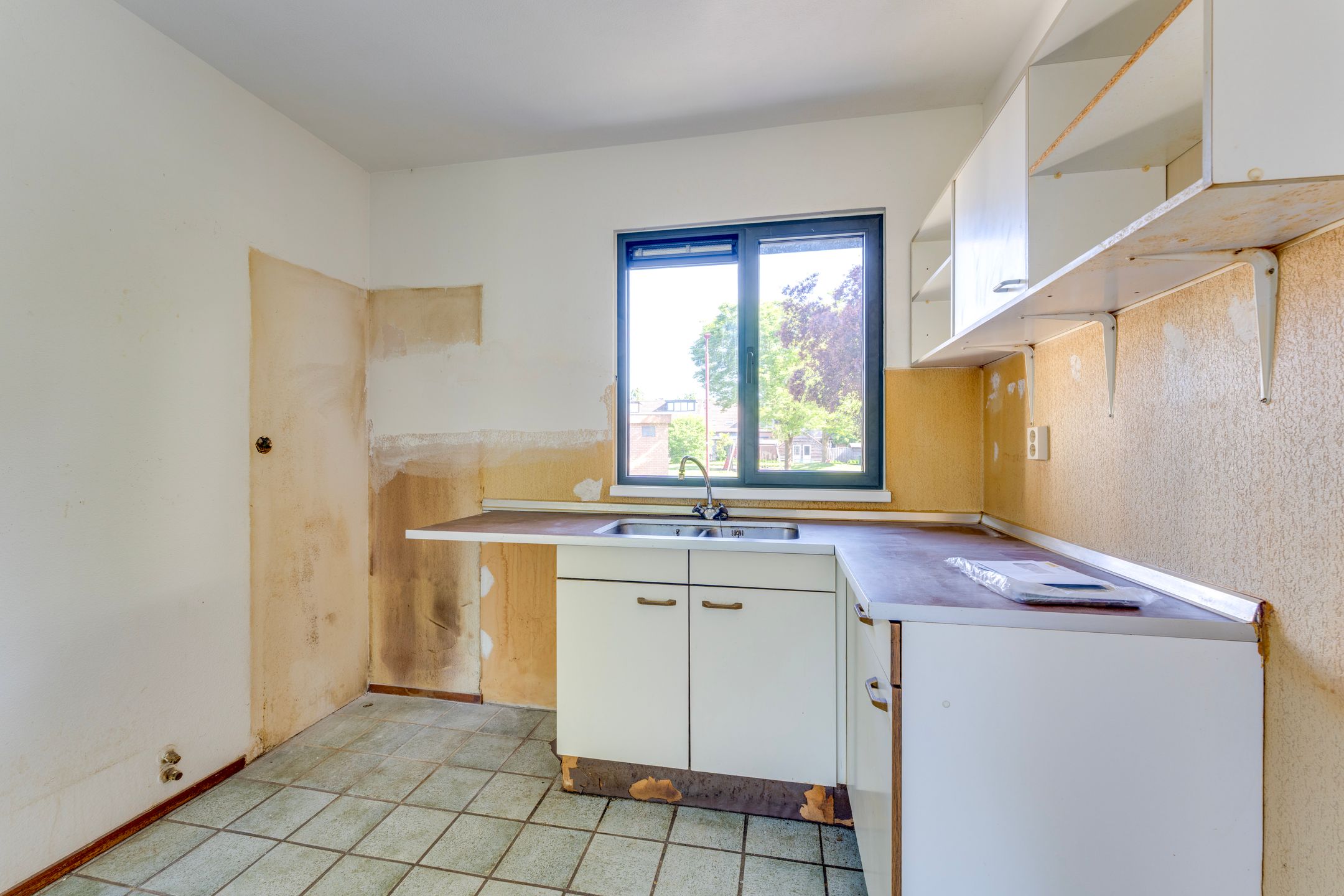 Foto 6 van Boomkruiper 8