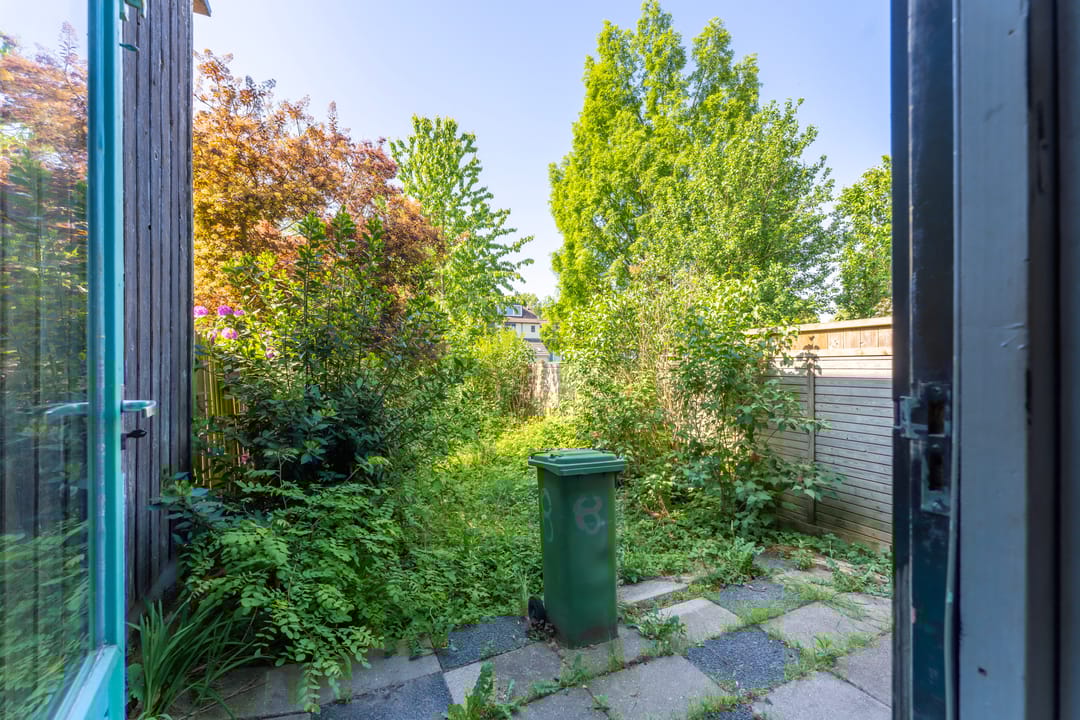 Foto 8 van Boomkruiper 8