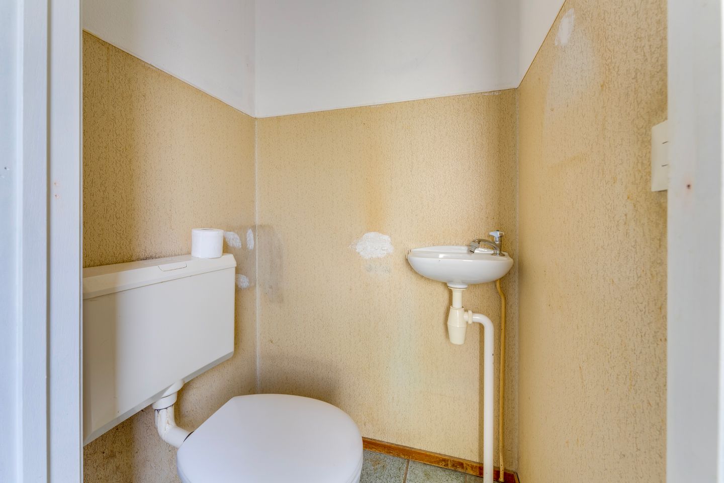 Foto 14 van Boomkruiper 8