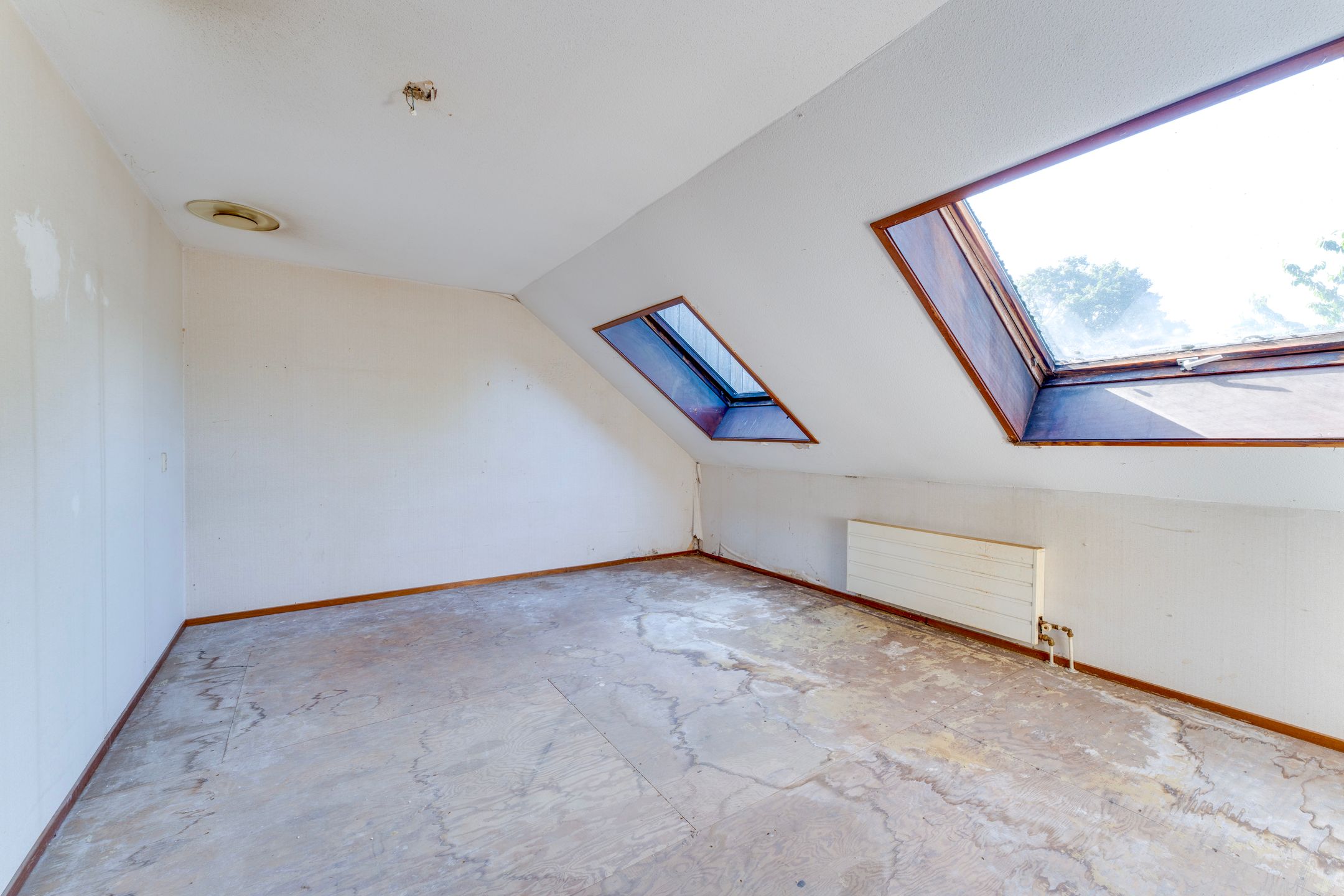 Foto 15 van Boomkruiper 8