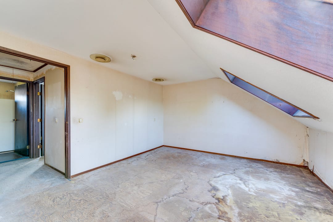 Foto 16 van Boomkruiper 8