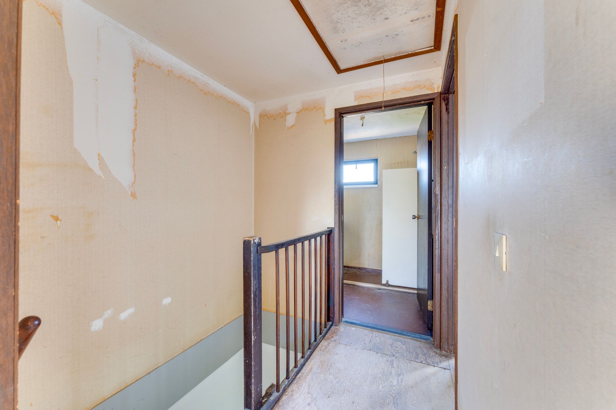 Foto 18 van Boomkruiper 8