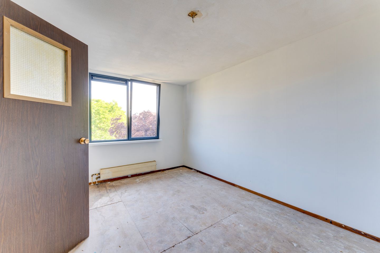 Foto 19 van Boomkruiper 8