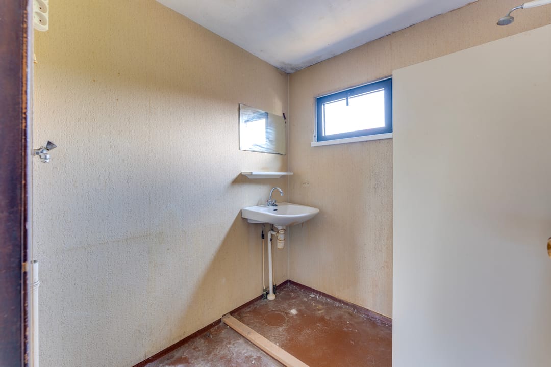 Foto 22 van Boomkruiper 8