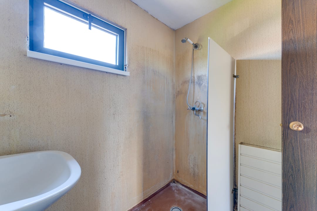 Foto 23 van Boomkruiper 8