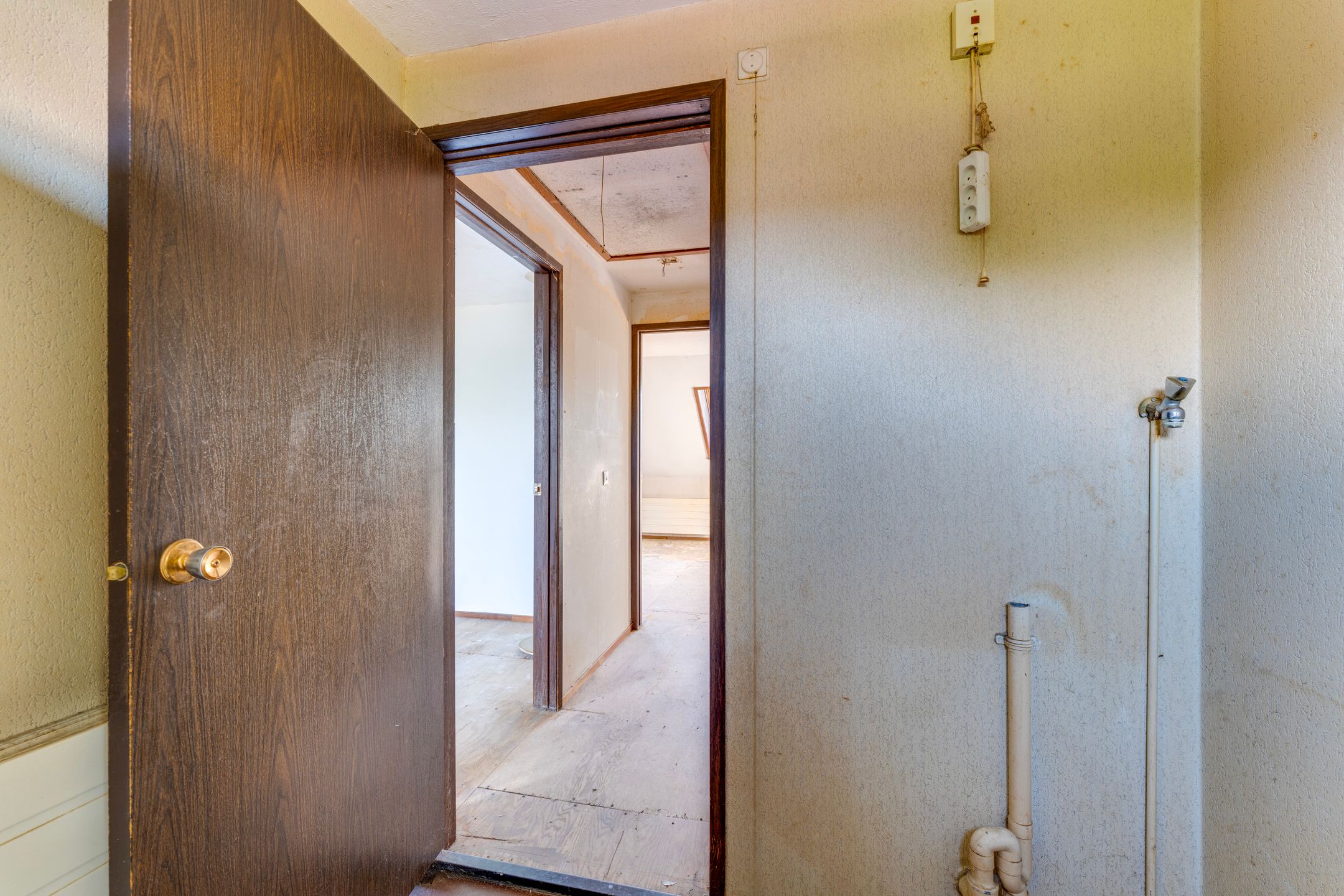 Foto 24 van Boomkruiper 8