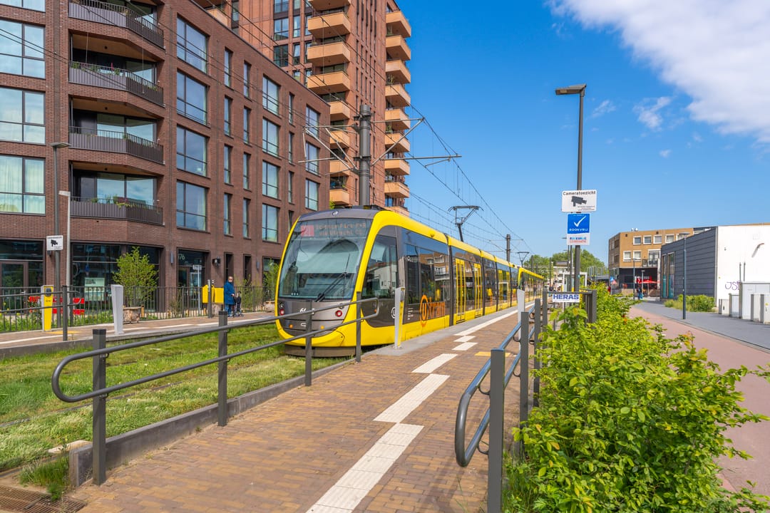 Foto 32 van Boomkruiper 8