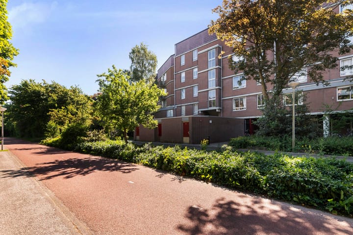 Foto 6 van Leerdamhof 295