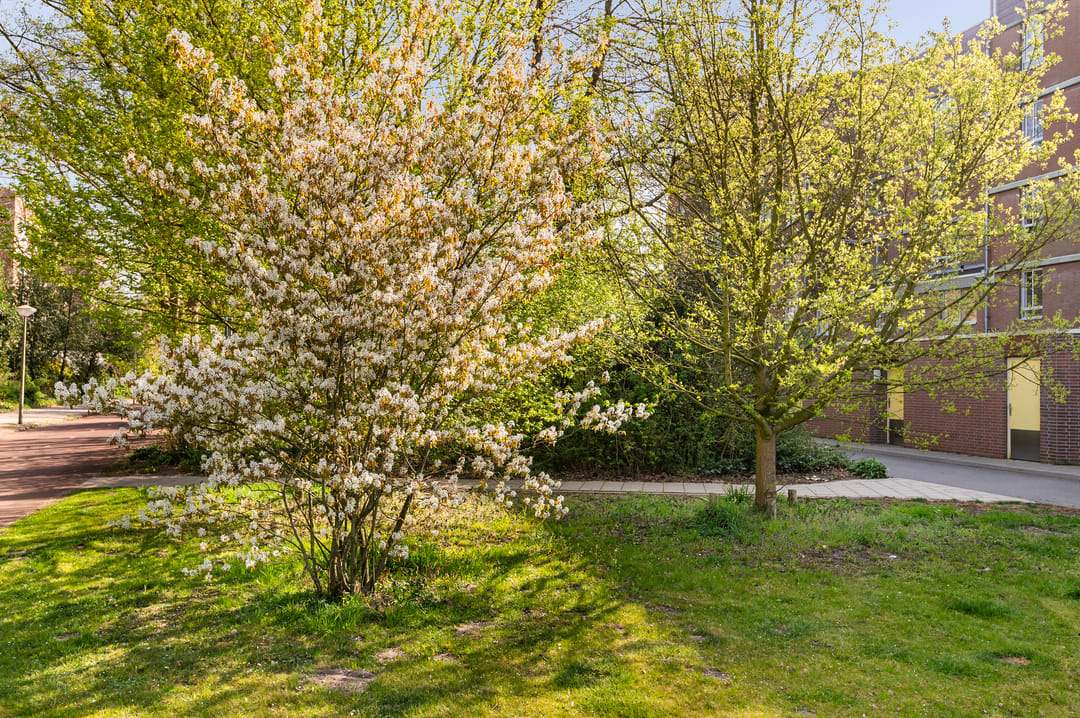 Photo 22 of Leerdamhof 295