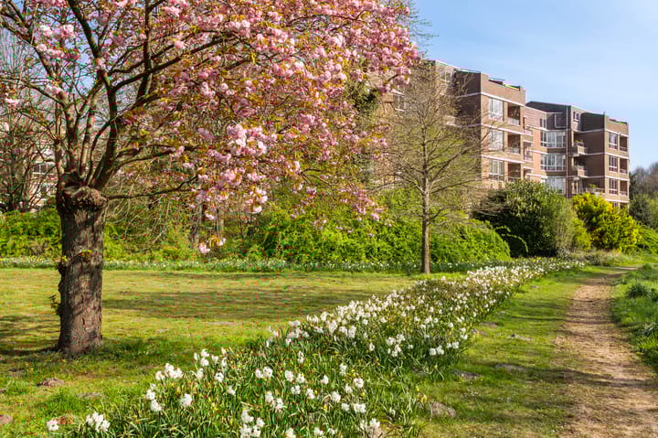 Foto 27 van Leerdamhof 295