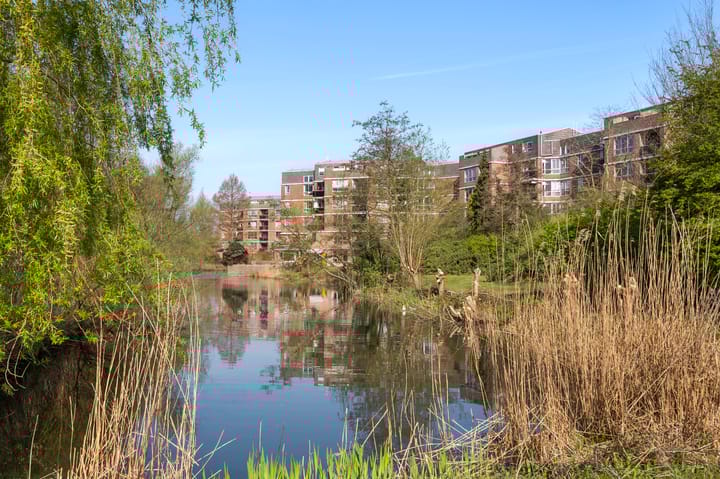 Foto 32 van Leerdamhof 295