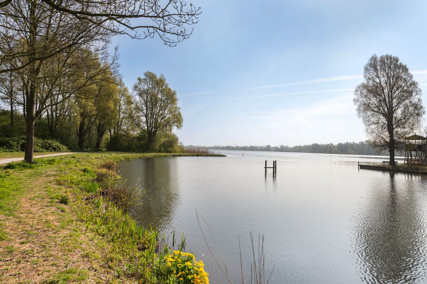 Photo 34 of Leerdamhof 295