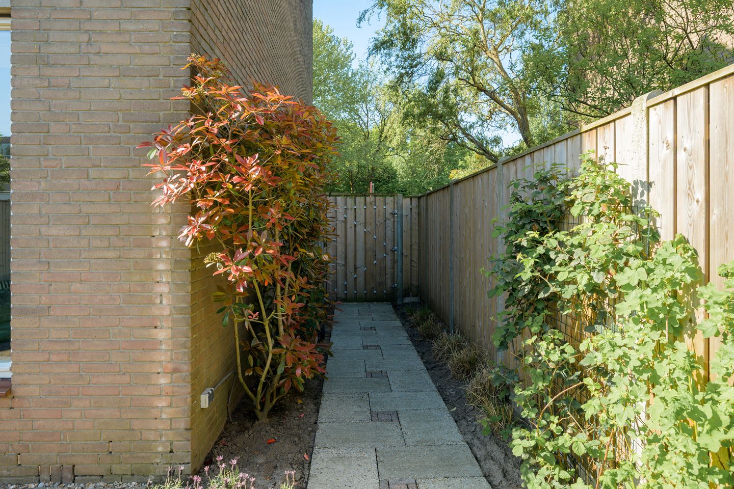 Foto 34 van Ambachtenlaan 157