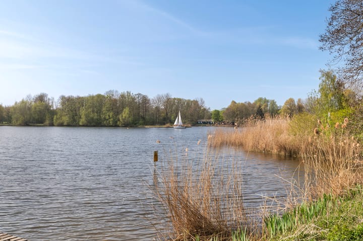 Foto 40 van Leerdamhof 295