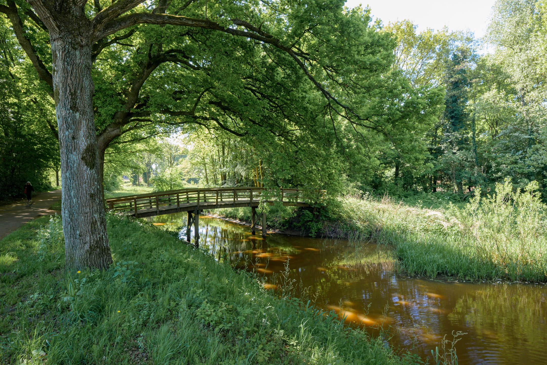 Foto 60 van Ambachtenlaan 157