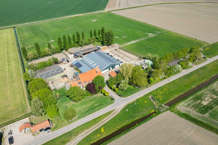 Foto 6 van Westdijk 49