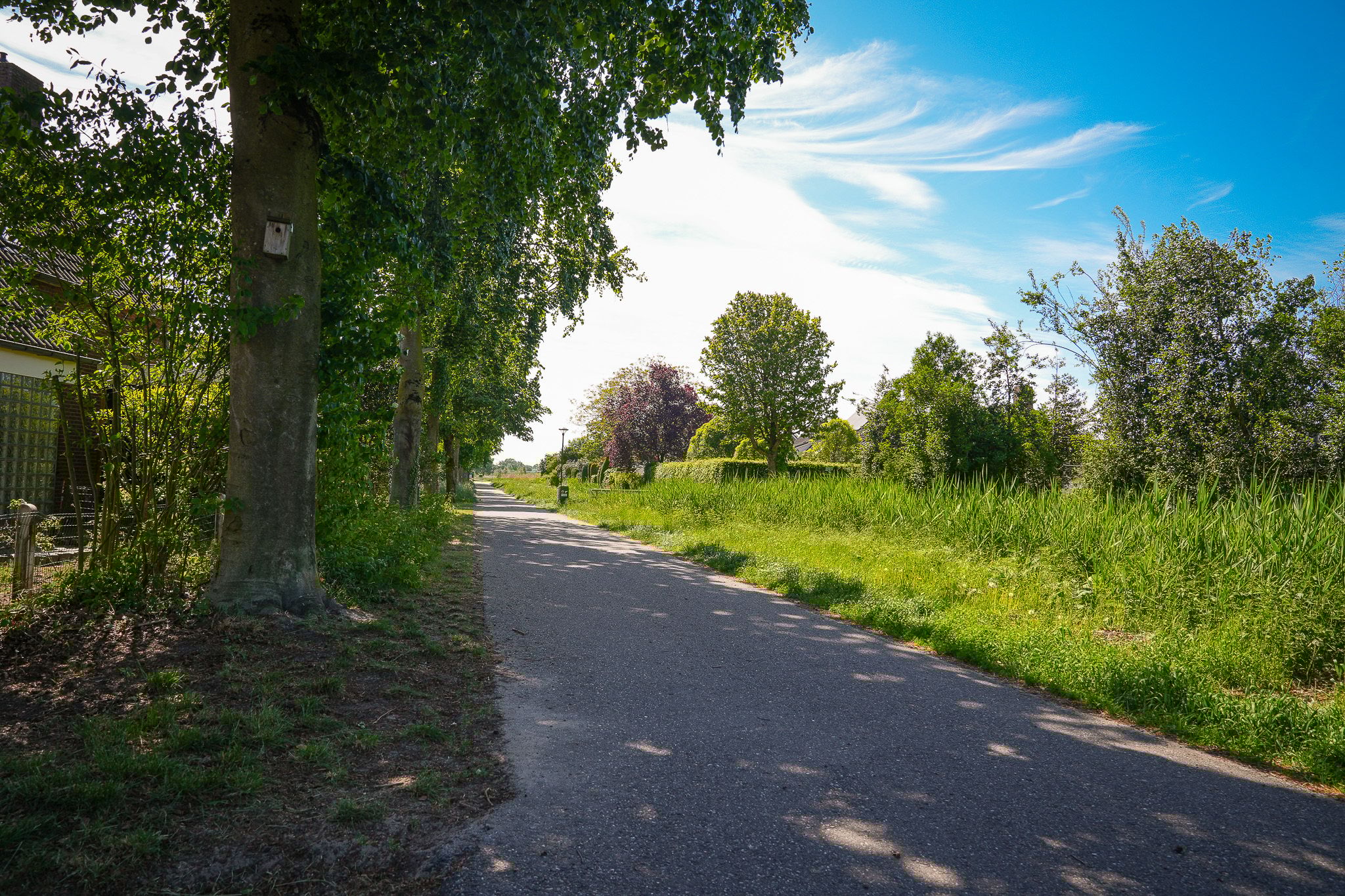 Foto 36 van Stallinge 22