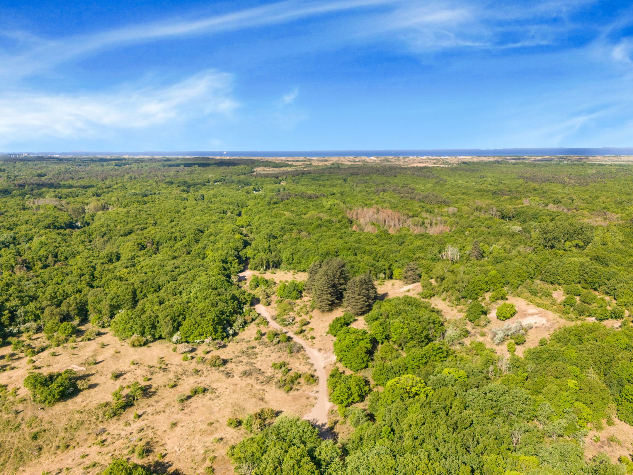 Foto 45 van Oude Haarlemmerweg 81