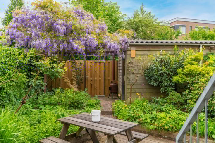 Foto 16 van Kerseboomgaard 25