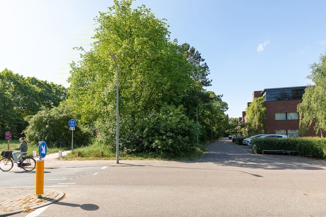 Foto 38 van Kolhornseweg 29