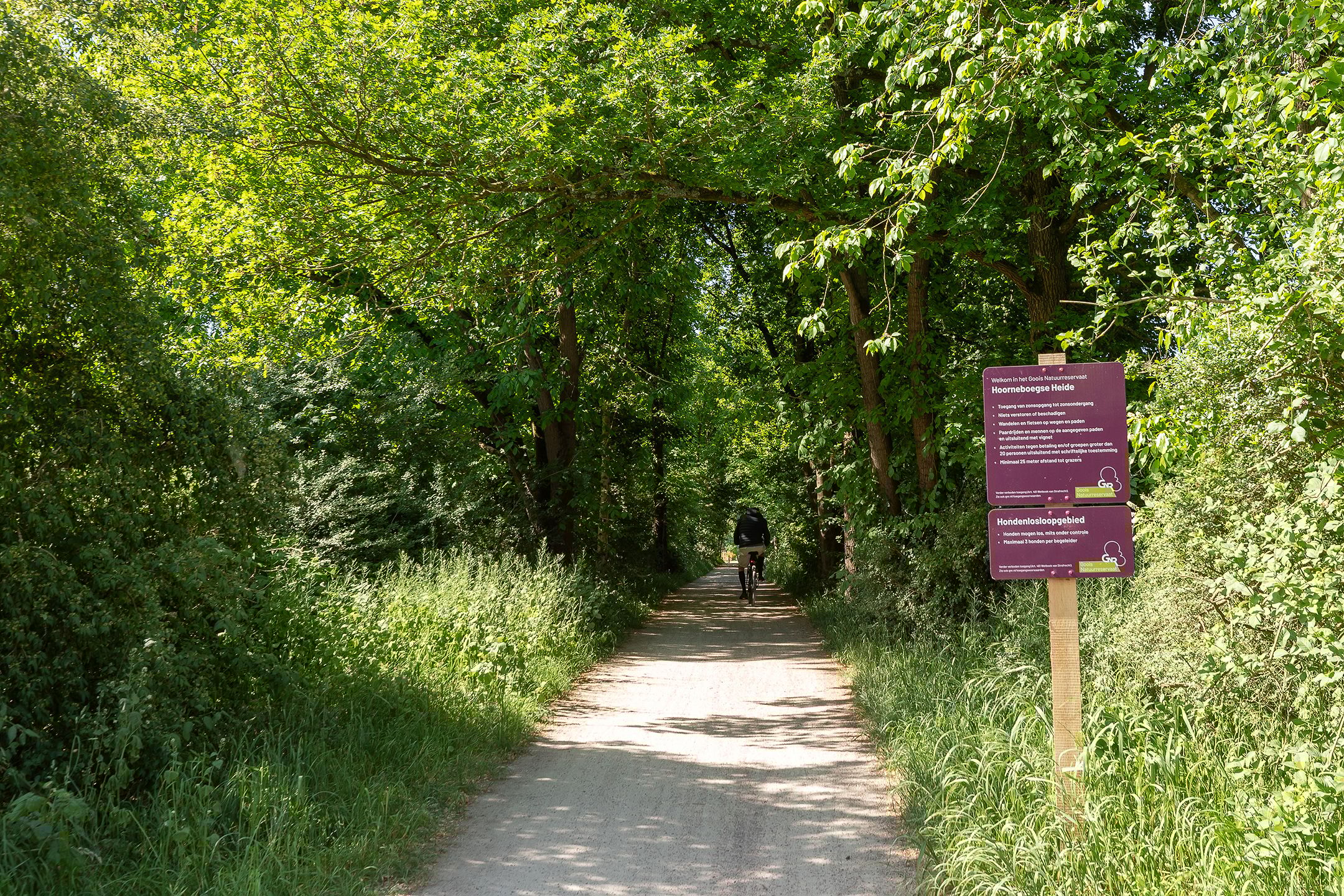 Foto 39 van Kolhornseweg 29