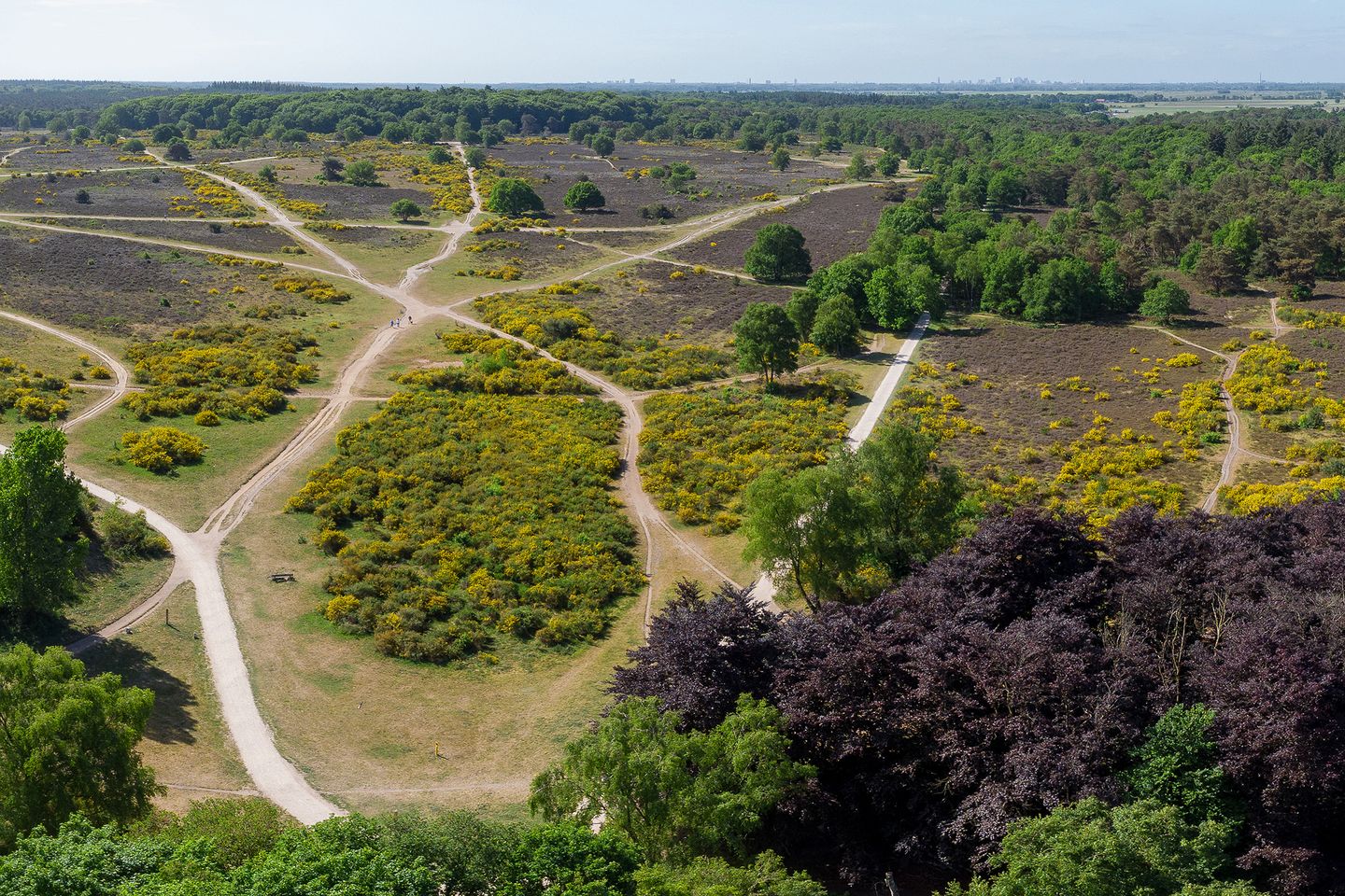 Foto 40 van Kolhornseweg 29