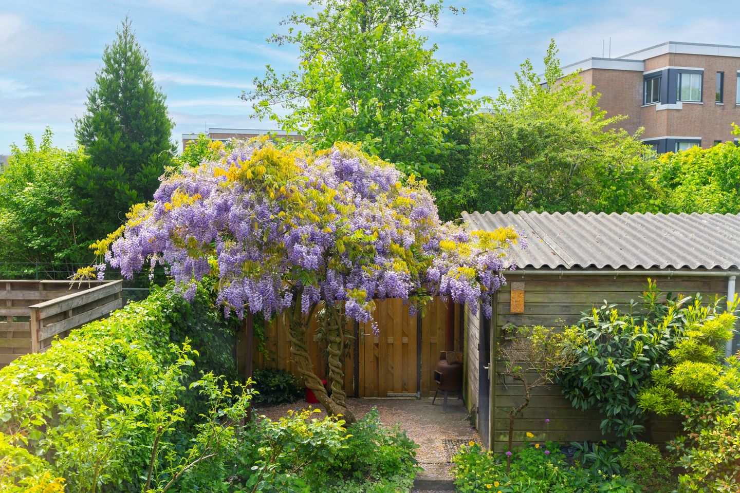 Photo 35 of Kerseboomgaard 25