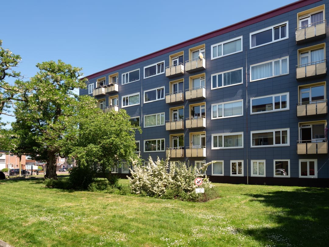 Foto 1 van Wijnbesstraat 81