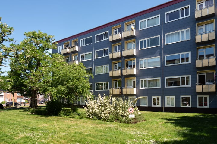 Wijnbesstraat 81