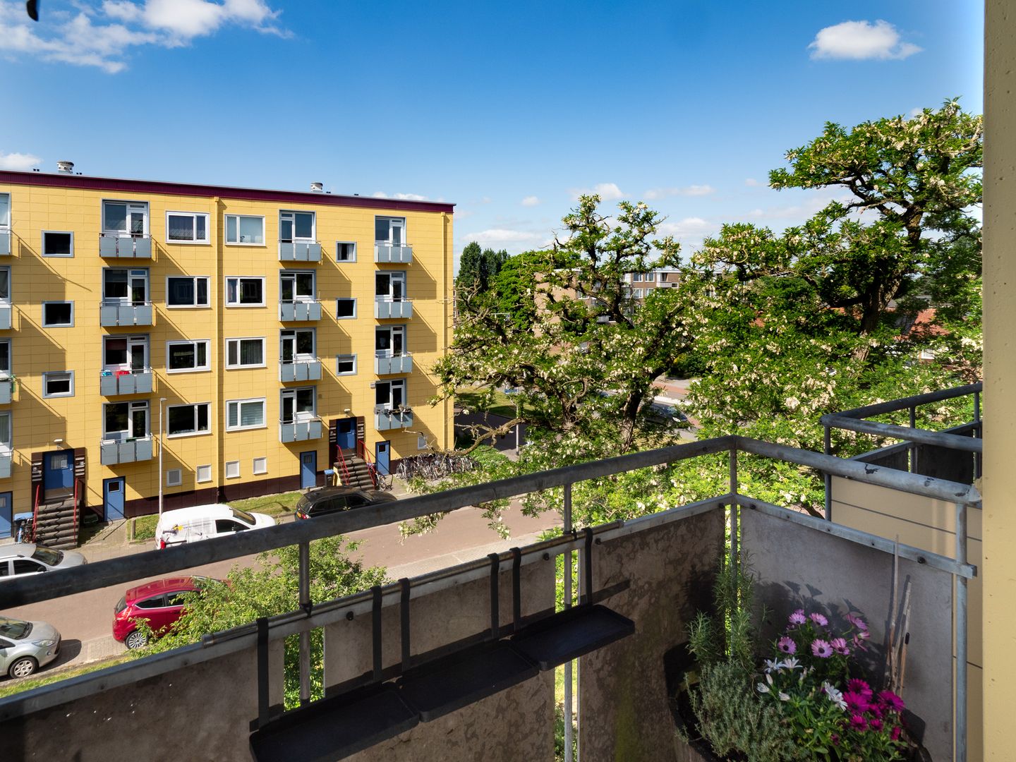 Foto 14 van Wijnbesstraat 81