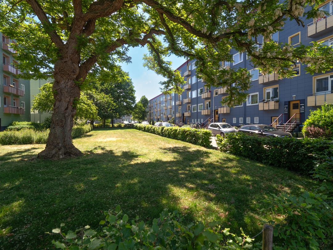 Foto 16 van Wijnbesstraat 81