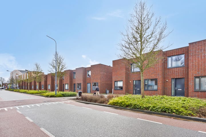 Salvador Dalístraat 31