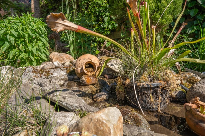 Foto 49 van Ruiterakker 156