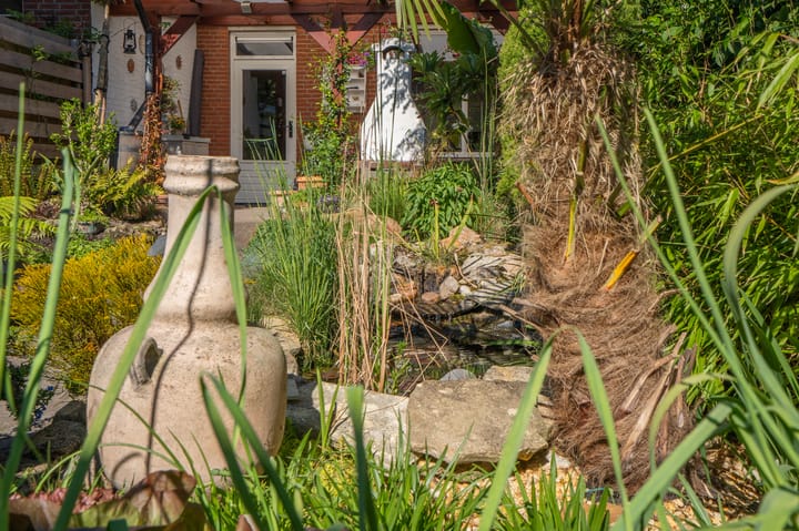 Foto 53 van Ruiterakker 156