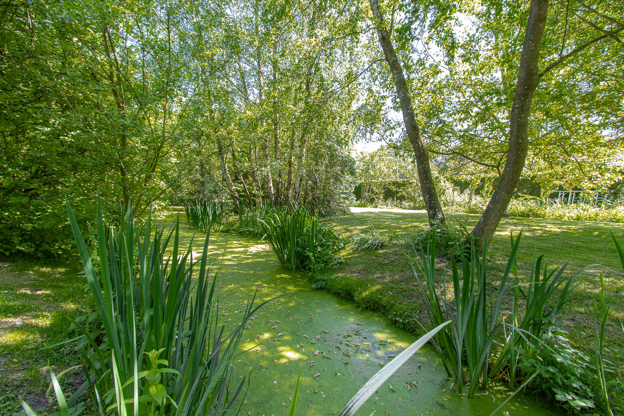 Foto 6 van Steenweg 11