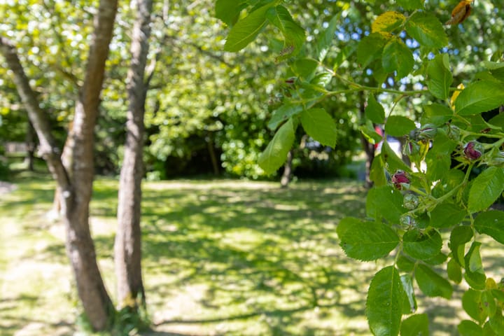 Foto 44 van Steenweg 11