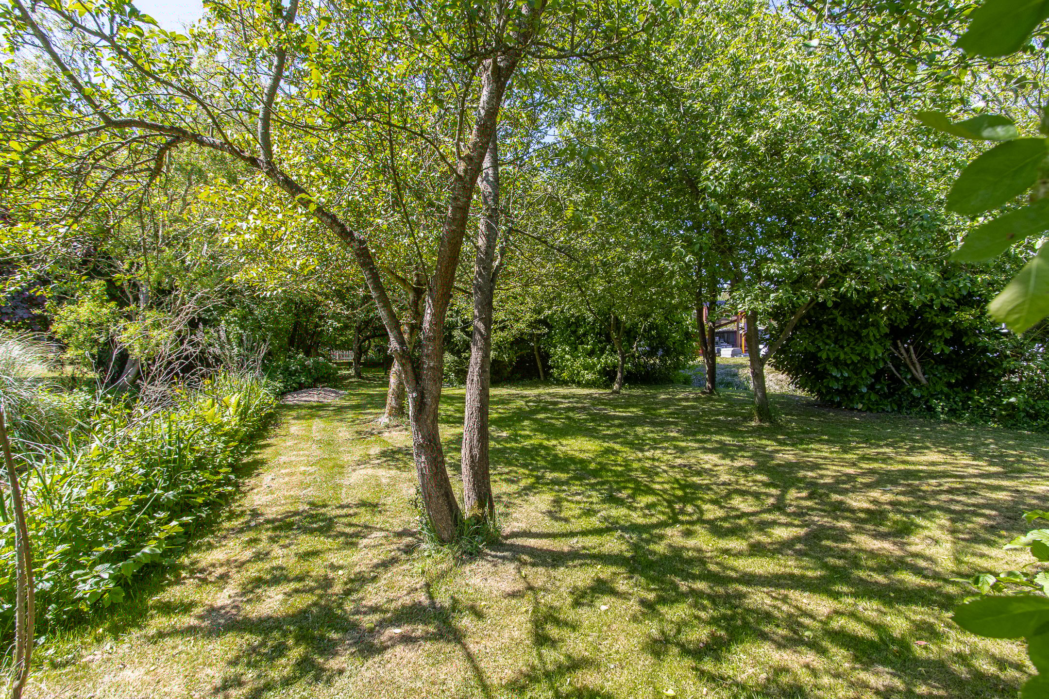 Foto 45 van Steenweg 11