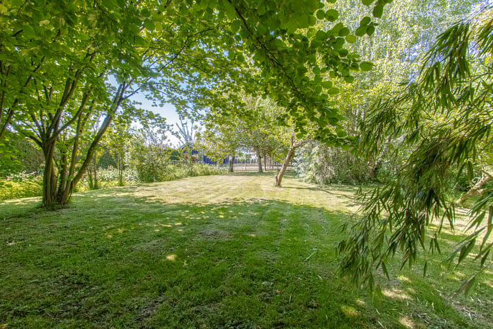 Foto 49 van Steenweg 11