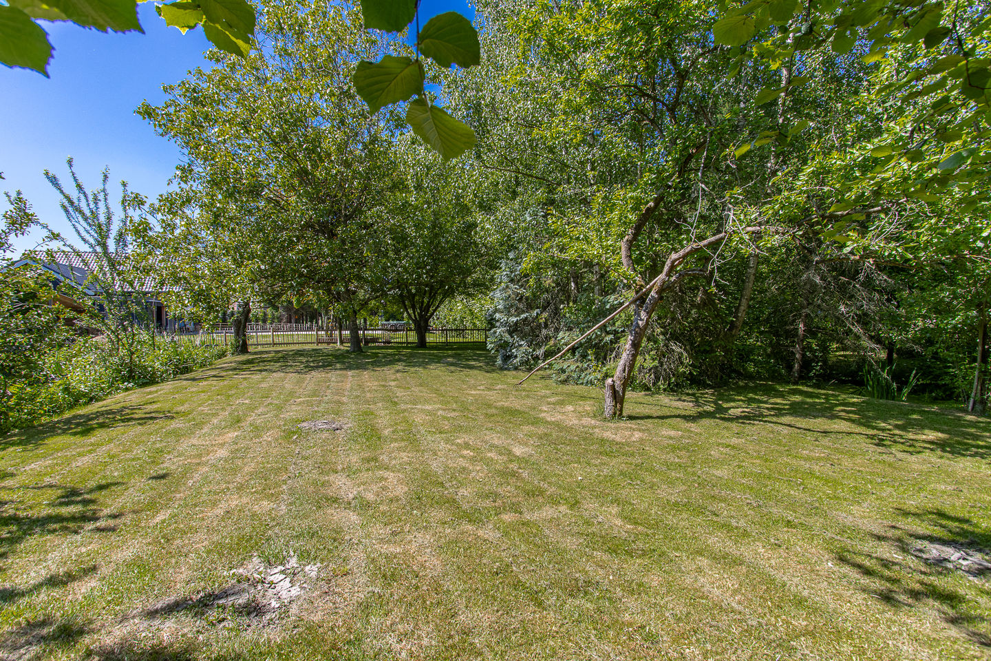 Foto 50 van Steenweg 11