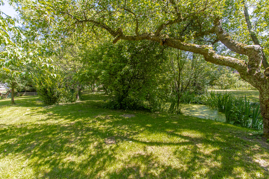 Foto 52 van Steenweg 11