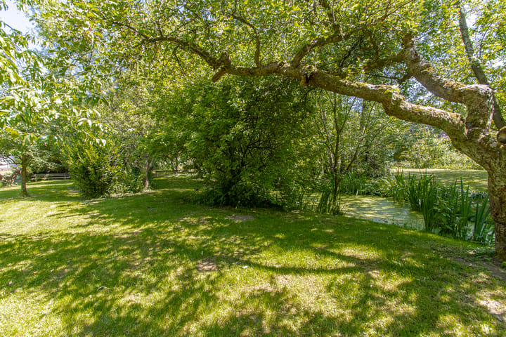 Foto 52 van Steenweg 11