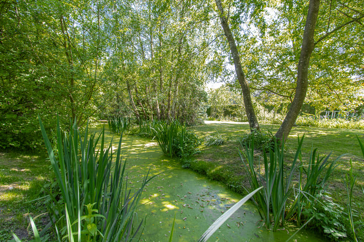 Foto 53 van Steenweg 11